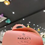 Prachi Tehlan Instagram - That’s exactly how my day was spent at @harleysfinebaking 😍 having yummalicious mouth watering desserts 🥰 melting in your mouth being the perfect example for satisfying your taste buds specially during and intermittent fasting break 😄😂❤️❤️ lovveeeeee ittttttt ❤️ #sweetlover #bestbakery #mouthwatering #foodlover #harleysfinebakery