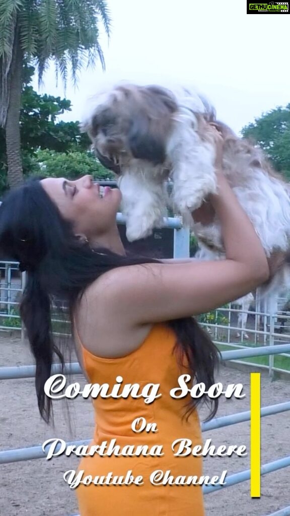 Prarthana Behere Instagram - PET STORY… New Episode…coming soon . #youtube #somethingnew #itsallaboutme #lifestyle #love #gratitude #prarthanabehere #youtubechannel #newepisode #petstory #yourchoice #myway