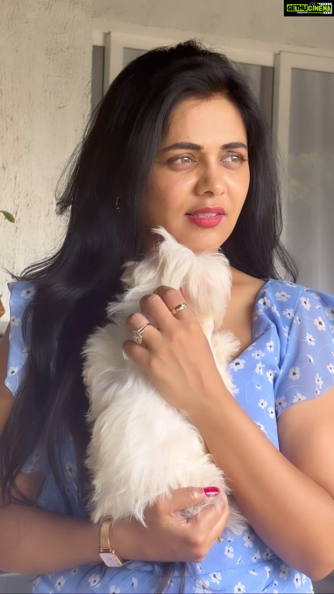 Prarthana Behere Instagram - My new baby: STORY #sundayvibes #newbabygirl #ourkid #story #dogstory #mystory #dog #puppy #babygirl🎀 #mykid #newmemberofthefamily #mybabypuppy #