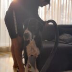 Prateik Babbar Instagram – dad duties ♾️ Chico’s Home