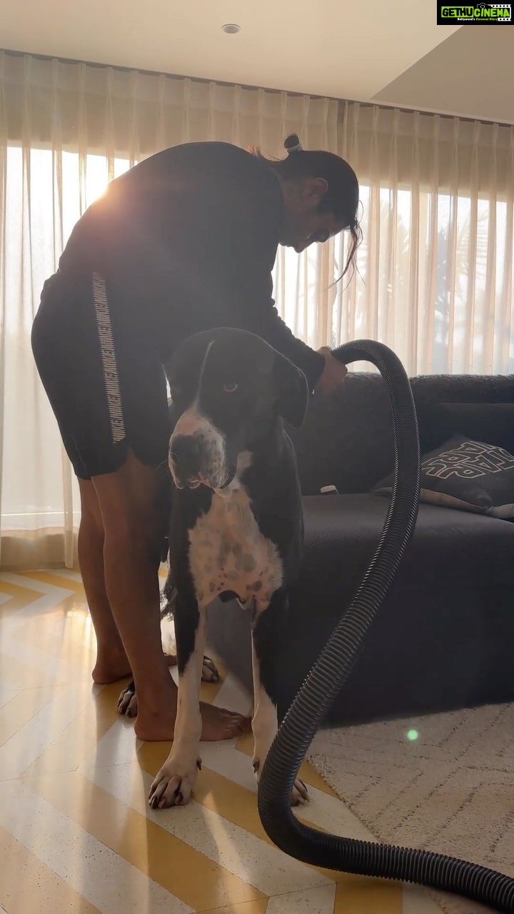 Prateik Babbar Instagram - dad duties ♾️ Chico's Home