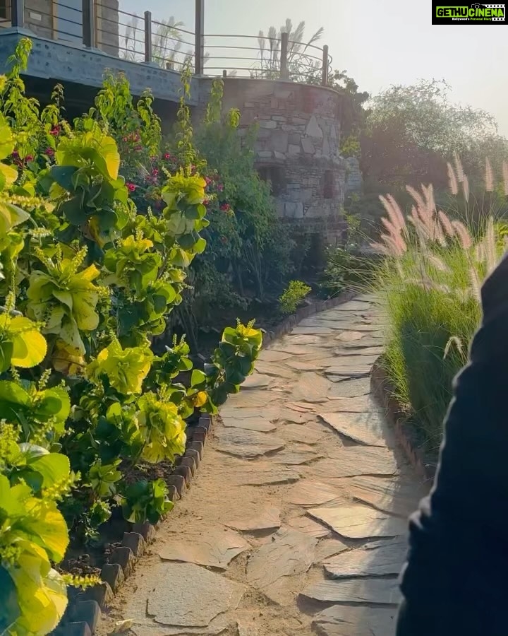 Priya Banerjee Instagram - Sometimes the best therapy is to be around nature ππΏπ΄π Chunda Shikar Oudi