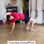 Priya Bapat Instagram - “If you won’t … one day, you may not be able to” - Ido Portal Let’s move! Just move 💪🏻🐅 #internationalanimalflowday2023 #animalflow #movement #move #ﬁtness