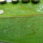 Priya Bapat Instagram - My love for Onam Sadhya 😋😋