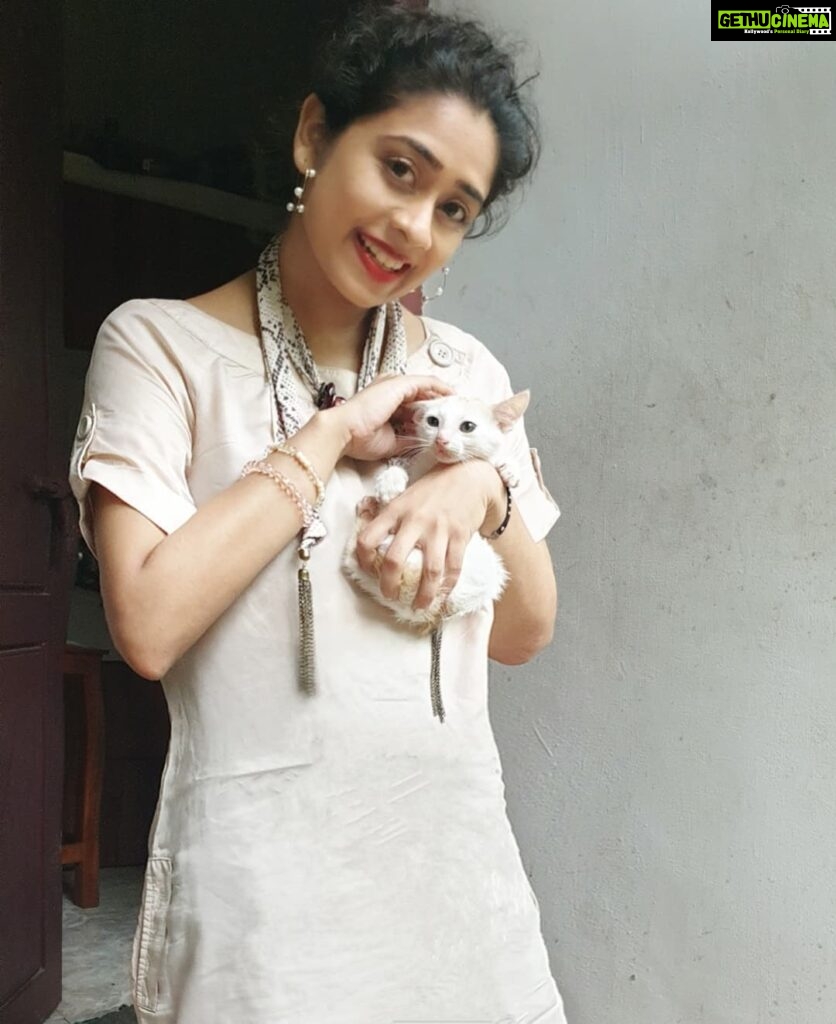 Priyaa Lal Instagram - Hello Kitty 😺❤ #kittens #hellokitty #peta #animals l #love #catsofinstagram #instadaily #goodmorning #sundayvibes #kitty