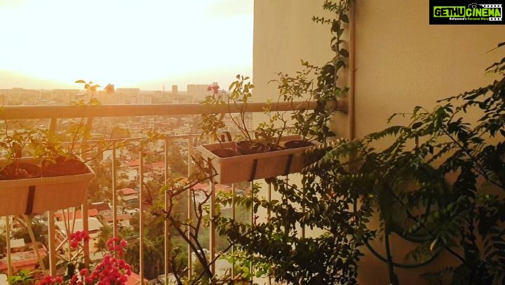 Priyaa Lal Instagram - Home ❤ Evening bliss with one of my fav 🎵