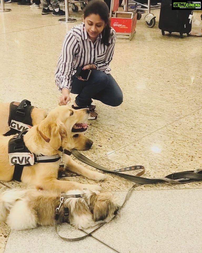 Priyaa Lal Instagram - Love for retrievers 💖 #retriever #dogsofinstagram #goldenretriever