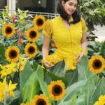 Priyaa Lal Instagram – Happy Onam to my insta family 🌼🏵

#onam #festival #kerala #onamcelebration