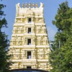 Priyanka KD Instagram - 4th Jyotirling completed SRISAILAM TEMPLE 🙏🏻Har Har Mahadev ॐ नमःशिवाय … #harharmahadev #harharmahadevॐ #mahadev #devokedevmahadev #srisailam #aandrapradesh #priyankakholgade #shravan #life Srisailam Mallikarjun Jyotirling Temple
