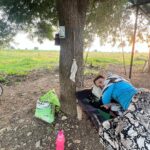 Priyanka KD Instagram - My farm 🥰…. #farmerlife #farmer #priyankakholgade #maharashtra #marathimulgi #maharashtrian #simple #simplicity #noattitude Maharashtra