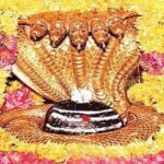 Priyanka KD Instagram - 4th Jyotirling completed SRISAILAM TEMPLE 🙏🏻Har Har Mahadev ॐ नमःशिवाय … #harharmahadev #harharmahadevॐ #mahadev #devokedevmahadev #srisailam #aandrapradesh #priyankakholgade #shravan #life Srisailam Mallikarjun Jyotirling Temple