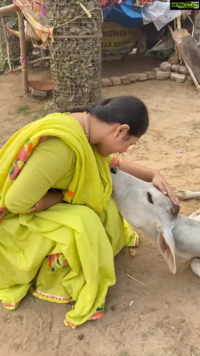 Priyanka Pandit - 40.5K Likes - Hare Krishna 🥰 mujhe ye Vrindavan parikrama main mili thi 🥰 shanti se bethi hui thi side main pata nhi mujhe kya hua main gai inke pass or inhone muh pher liya mere se maine bolna start kiya Radha Radha Radha or inhone muh meri taraf kiya or bahot pyar se apna ser mere pass lai 🥰 Main continue Radha Radha bol rahi thi 🥰jese Radha bolna ruka inhone phir apna muh pher liya 😂😂😂 Vrindavan main sirf Radha naam chlta he 🥰jai shree radhe