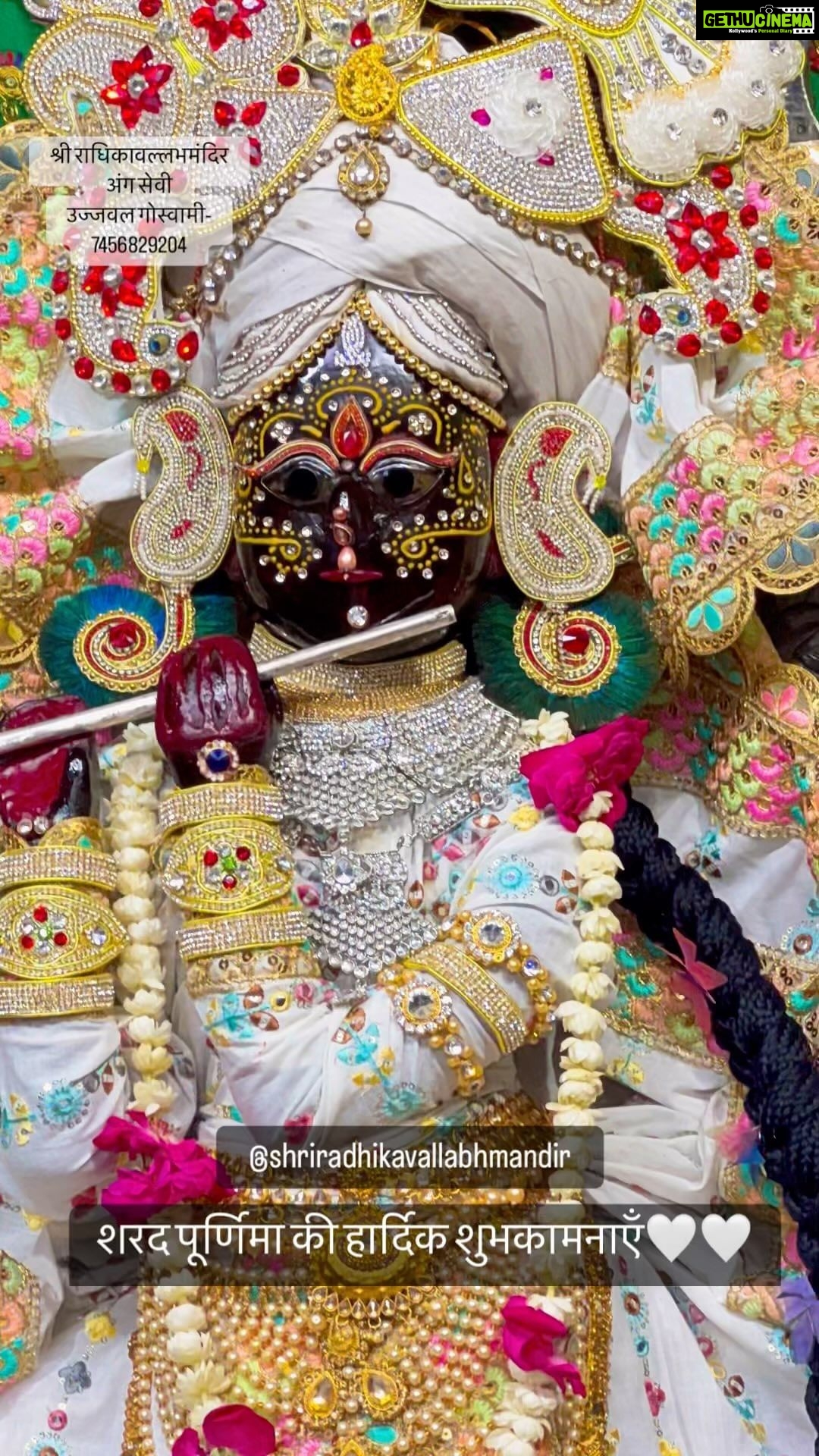 Priyanka Pandit - 21.6K Likes - #radheradhe #vrindavan #radhikavallabh💖💙🇮🇳
#charan #radhikavallabh #Vrindavan ❤️
#radhe #radhe #krishna💙💖🙏🏻✨
@shriradhikavallabhmandir 🙏🏻💙❤️🥀
#instagood #instagram #instalike 🙏🏻🙏🏻
#insta #instadaily #reels 💙💙💙
#reelsinstagram #yuvraj #ujjawalgoswami
#radhikavallabh #radhikavallabhtemple
#radhikavallabhmandir #radhikavallabhlal
#vrindavan #vrindavandham #bankeybihari
#radhavallabh #radhikavallabh
#shrihitujjawalgoswami #yuvraj #vivah
#shrihitujjawalgoswami #fyp #facebookreels
#trending #trend #facebook