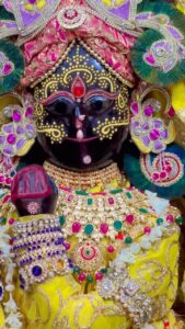 Priyanka Pandit Instagram - 💙#Vrindavan #radhe #radhekrishna 
#fyp #radhika #vallabh #mandir 
#shriradhikavallabhmandir 💙