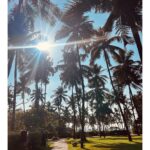 Rachel David Instagram – kids this is what a Goa trip looks like // 🌼