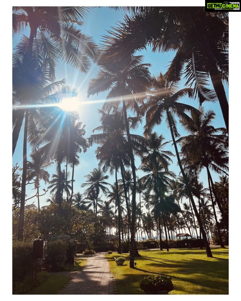 Rachel David Instagram - kids this is what a Goa trip looks like // 🌼