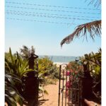 Rachel David Instagram - kids this is what a Goa trip looks like // 🌼