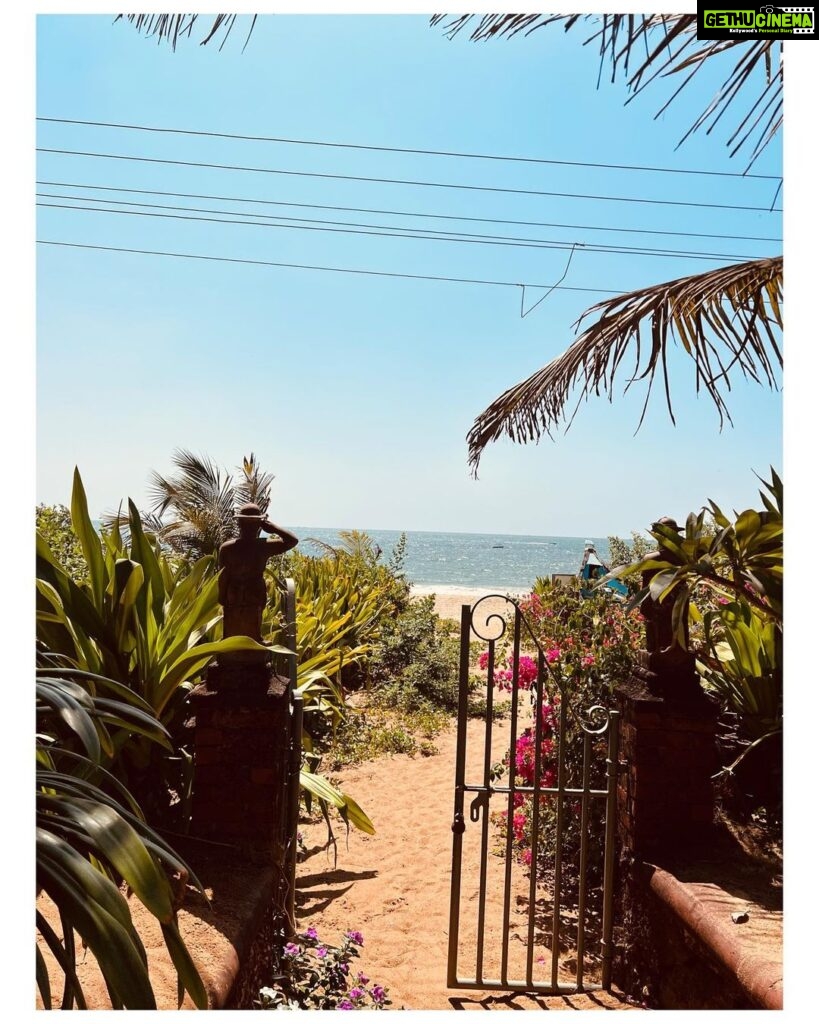 Rachel David Instagram - kids this is what a Goa trip looks like // 🌼
