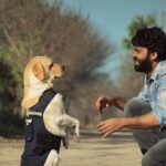 Rakshit Shetty Instagram – ನಮ್ಮ ಚಿತ್ರದ ಹೊಸ ಹಾಡು “ಜರ್ನಿ ಸಾಂಗ್” ಮೇ 30ರಂದು ನಿಮ್ಮ ಮುಂದೆ ಬರಲಿದೆ ✨

Swaying music coupled with some special moments from the sets. #JourneySong from #777Charlie will be releasing on May 30th. Stay tuned guys 😊

#777CharlieOnJune10 

@kiranraj_k @nobinpaul @rajbshetty @iamsangeethasringeri @danishsait @actorsimha @pratheek_darkbirdfilms @arvindskash @paramvah_studios @prithvirajproductions @stonebenchers @sureshproductions @ufomoviez @krgstudios