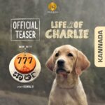 Rakshit Shetty Instagram - Charlie has taken over your hearts with complete delight ever since we dropped the teaser. Why not walk through her life again today? ☺️ ನೀವೆಲ್ಲರೂ ಮೆಚ್ಚಿರುವ ನಮ್ಮ #777Charlie ಚಿತ್ರದ ಅಫೀಷಿಯಲ್ ಟೀಸರ್ #LifeOfCharlie ಇಲ್ಲಿದೆ ✨ @kiranraj_k @rajbshetty @iamsangeethasringeri @actorsimha @danishsait @nobinpaul @pratheek_darkbirdfilms @arvindskash @ullashydur @paramvah_studios