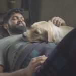 Rakshit Shetty Instagram – A cute throwback : Charlie enjoying a cuddle in the midst of a shoot
#777Charlie #BehindTheScenes

#TeamRS