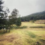 Rakshit Shetty Instagram – Two weeks living in this dream #Kodai #PunyaKoti #Writing #SharedHotSpot #OutOfNetwork 😇🤟