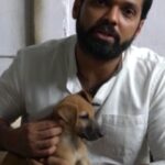 Rakshit Shetty Instagram – Indie dogs or stray dogs are smart, sturdy and a very loving. I personally think they are just as  beautiful as breed dogs!  But thousands of indies are fighting for their survival on our roads. They face road accidents, starvation  dehydration and human abuse. 
If you are looking to add a family member into your life, you should adopt an indie. They have evolved for our Indian climate! They are strong, easy to groom, require less medical attention and are extremely intelligent. Because of people’s obsession with foreign breeds, we have forgotten our Indian dogs, So this Independence Day, let’s be proud to be Indie(an)!
@charliesanimalrescuecentre is hosting an INDIEpendence adoption drive on the 11th of August from 12-3pm. Give this adoption a shot if you are considering getting a pet.