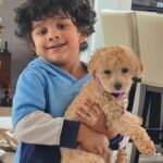 Rambha Instagram - Shivin with his best pals ❤️ #doggystyles #dog #dogsofinstagram #pals #dogsofcanada #kids