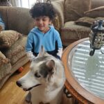 Rambha Instagram - Shivin with his best pals ❤️ #doggystyles #dog #dogsofinstagram #pals #dogsofcanada #kids
