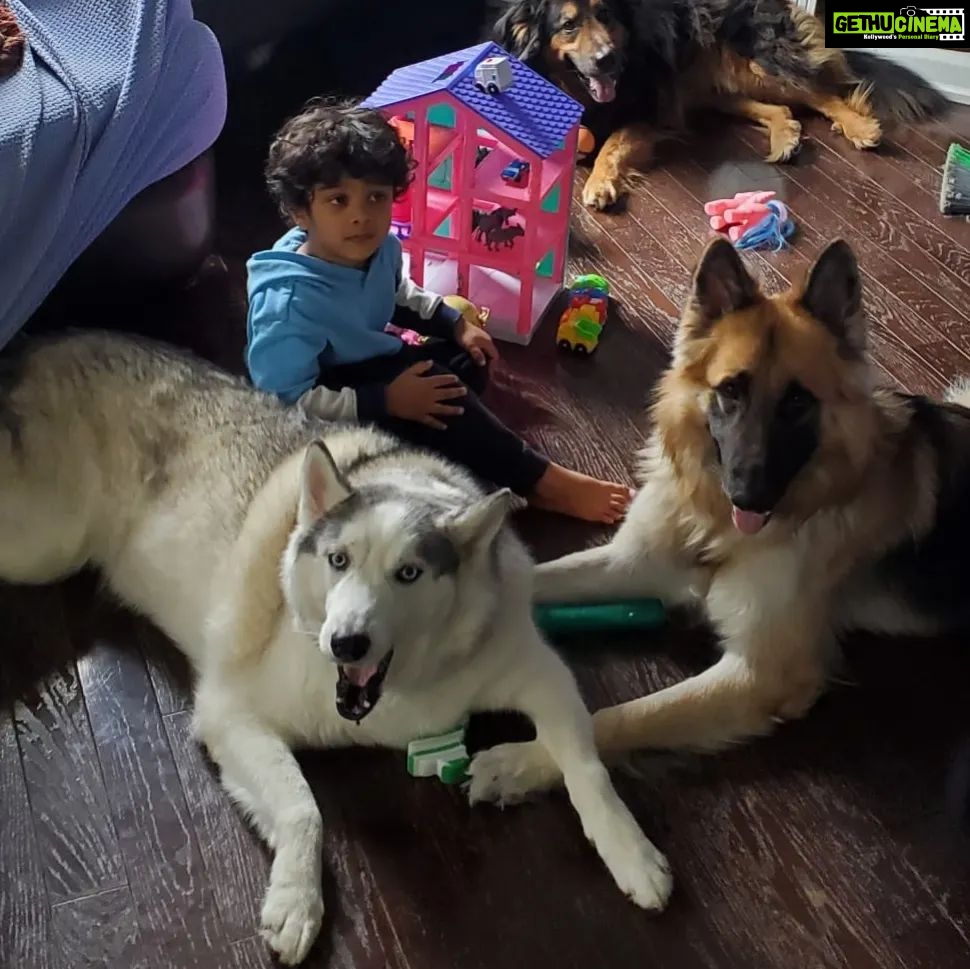 Rambha Instagram - Shivin with his best pals ❤️ #doggystyles #dog #dogsofinstagram #pals #dogsofcanada #kids