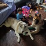 Rambha Instagram - Shivin with his best pals ❤️ #doggystyles #dog #dogsofinstagram #pals #dogsofcanada #kids