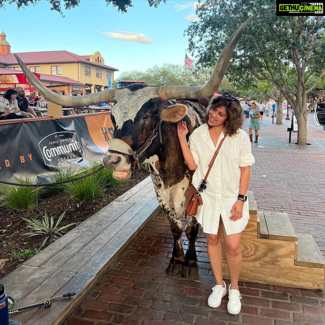 Ranjini Haridas Instagram - Say Hello to the mighty Sharp shooter, a 10 year old handsome Fort Worth Stockyards Longhorn .β€οΈ Well..heβs definitely horny Iβd say !!!πππ #texas #fortworth #stockyards #traveldiaries #howdypartner #yeehaw #hornycow #π Fort Worth, Texas