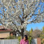 Ranjini Jose Instagram - Blossoms 🤍 📸 @alanro.7 #australia #waggawagga