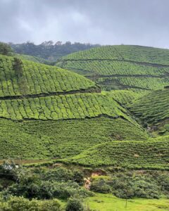 Ranjini Jose Instagram - Mountain calling (kerala edition)

#poopenfarten🤪🤣