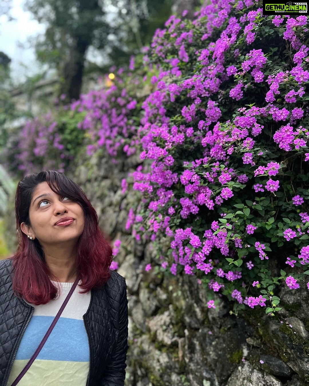 Ranjini Jose - 5.8K Likes - Mountain calling (kerala edition)
#poopenfarten🤪🤣