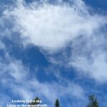 Rasika Sunil Instagram – I could never be done romanticising the world ❤️

#Rasikasunil #rasikasunilfc #love #gratitude #reelitfeelit #happiness #reelsofinstagram #reelkarofeelkaro #fun #goforit #awesome #flowerpotisland #clouds #you