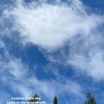 Rasika Sunil Instagram - I could never be done romanticising the world ❤️ #Rasikasunil #rasikasunilfc #love #gratitude #reelitfeelit #happiness #reelsofinstagram #reelkarofeelkaro #fun #goforit #awesome #flowerpotisland #clouds #you