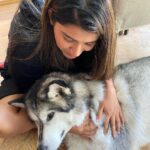 Rasika Sunil Instagram - Ambudi miss you ❤️ #Rasikasunil #rasikasunilfc #love #fun #goforit #awesome #amber #malamute