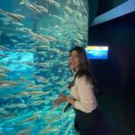 Rasika Sunil Instagram - Again from the @ripleysaquaca