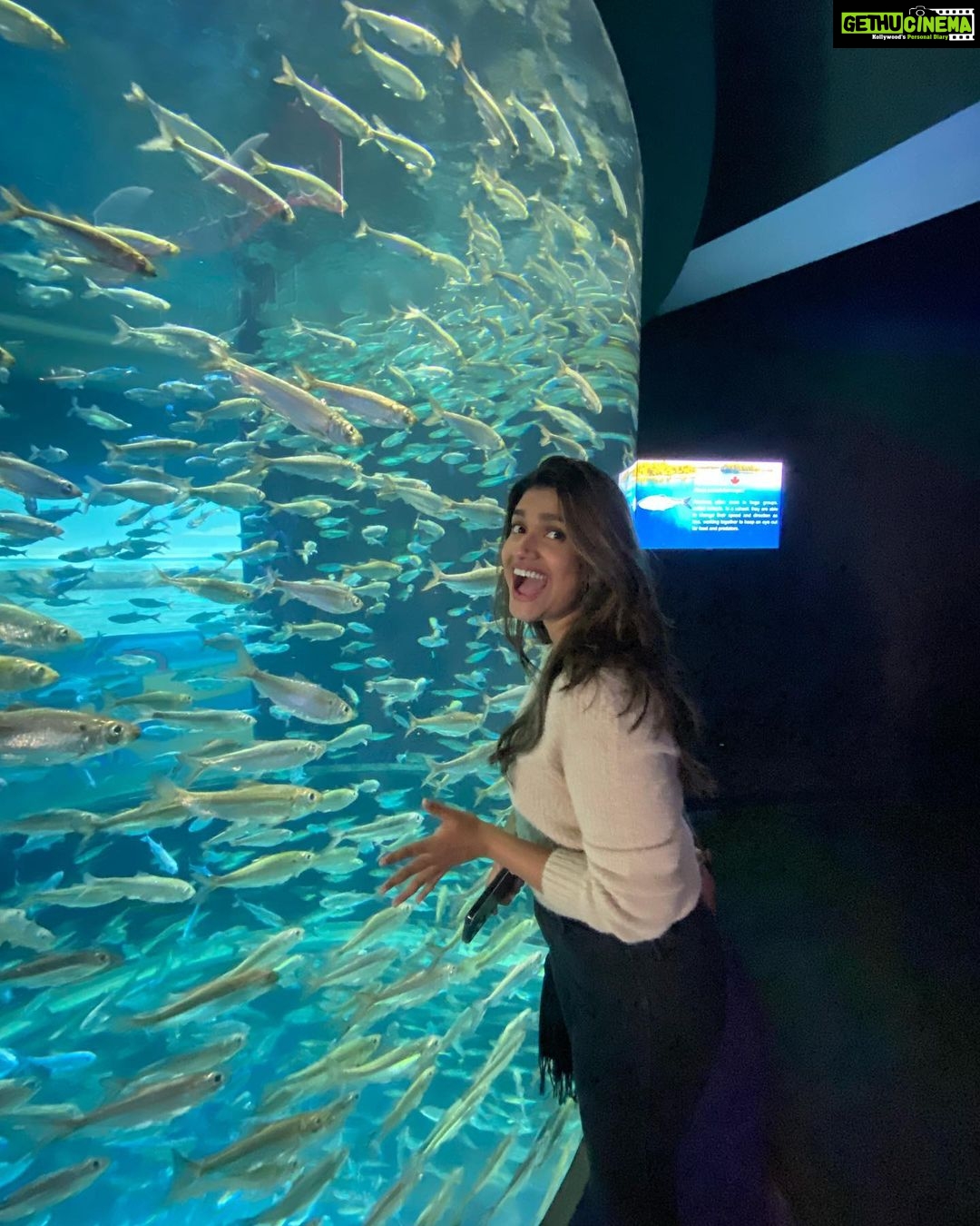 Rasika Sunil Instagram - Again from the @ripleysaquaca