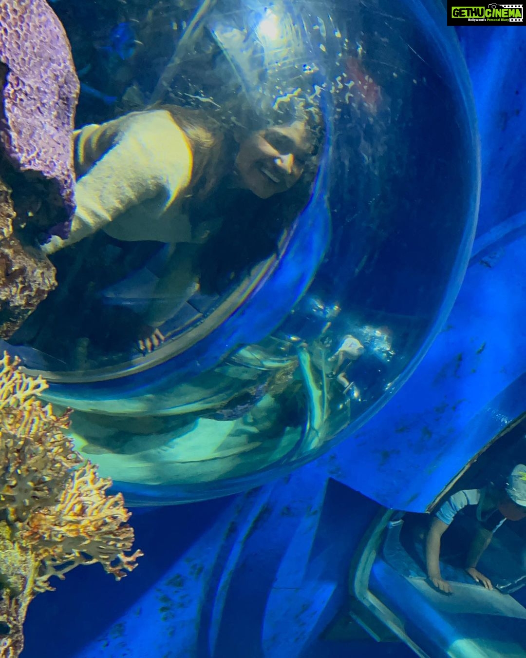 Rasika Sunil Instagram - One from the @ripleysaquaca