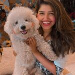 Rasika Sunil Instagram - How was your Holi ? #rasikasunil #rasikasunilfc #holi #colors #love #festival #fun #puppy #puppylove #rushsunil #booms