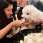 Rasika Sunil Instagram - Turned a year old today ! First bday !!! Special shout-out to the @happypuppypetbakery for making Rush’s day more special! He absolutely loved the cake! The service at the store is awesome ! Staff is super friendly and makes sure that your special day is more memorable with their efforts ! Not a paid promotion, highly recommended store out of love! @happypuppypetbakery (No alcohol was used in the making of this video, rush is drinking chicken stock) #rasikasunil #rasikasunilfc #rushsunil #firstbday #doggo #dogcake #love #party #pawty #pawtytime
