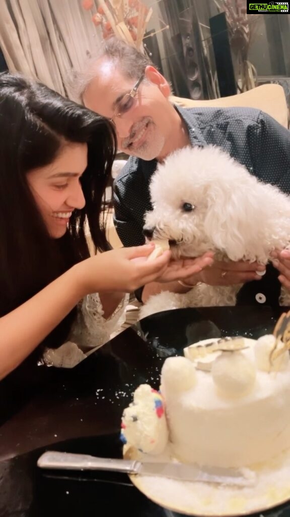 Rasika Sunil Instagram - Turned a year old today ! First bday !!! Special shout-out to the @happypuppypetbakery for making Rush’s day more special! He absolutely loved the cake! The service at the store is awesome ! Staff is super friendly and makes sure that your special day is more memorable with their efforts ! Not a paid promotion, highly recommended store out of love! @happypuppypetbakery (No alcohol was used in the making of this video, rush is drinking chicken stock) #rasikasunil #rasikasunilfc #rushsunil #firstbday #doggo #dogcake #love #party #pawty #pawtytime