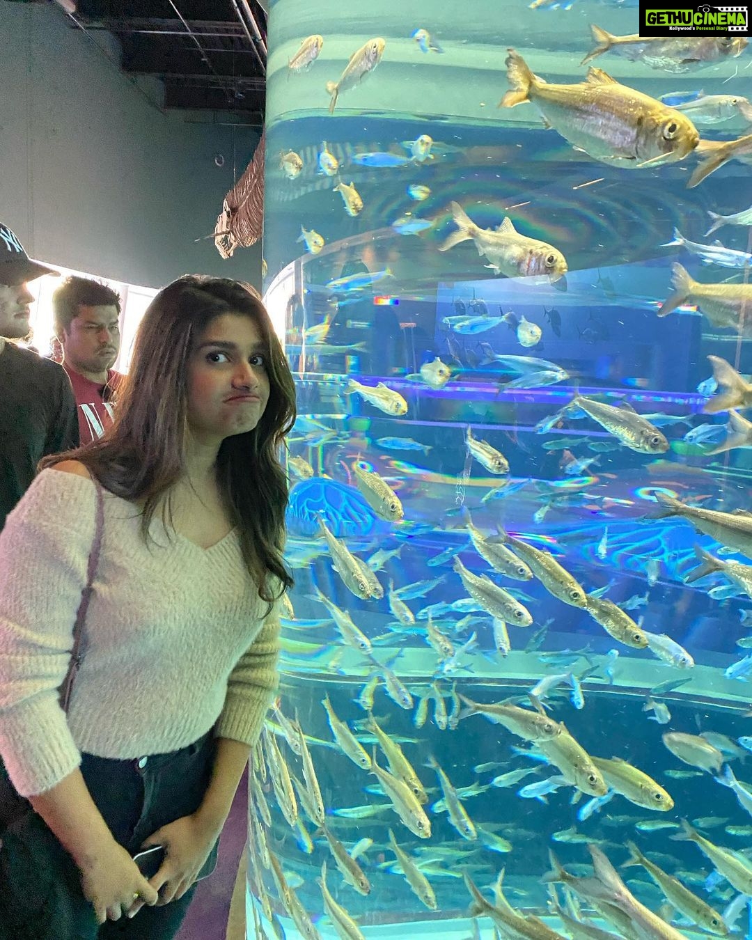 Rasika Sunil Instagram - Again from the @ripleysaquaca