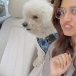 Rasika Sunil Instagram - How hard it is to get a single photo from this guy!!! Aahhhhhhhh In frame: Rush the diva