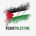 Reem Shaikh Instagram - #savepalestine
