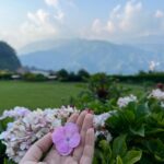 Reem Shaikh Instagram - Mera dil .. kahin dur pahadon mein kho gaya.