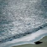 Renu Desai Instagram - Oh how I love the oceans and the sea Varkala