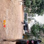 Renu Desai Instagram - Wait for the end🤩😁 Happy Dogs Boarding & Training School